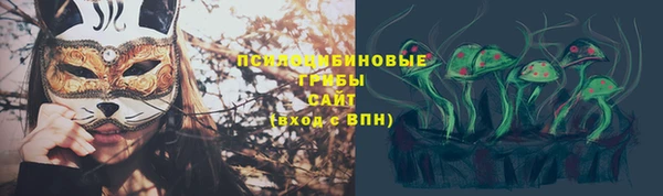 дурь Белокуриха