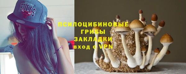 каннабис Беломорск