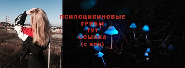 каннабис Беломорск