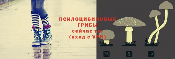 индика Ростов