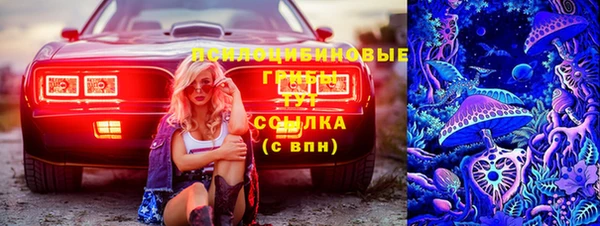 дурь Белокуриха
