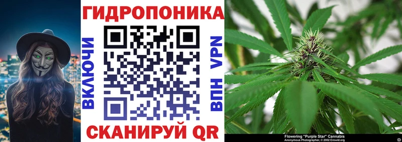 Бошки марихуана White Widow  мориарти клад  Светогорск 